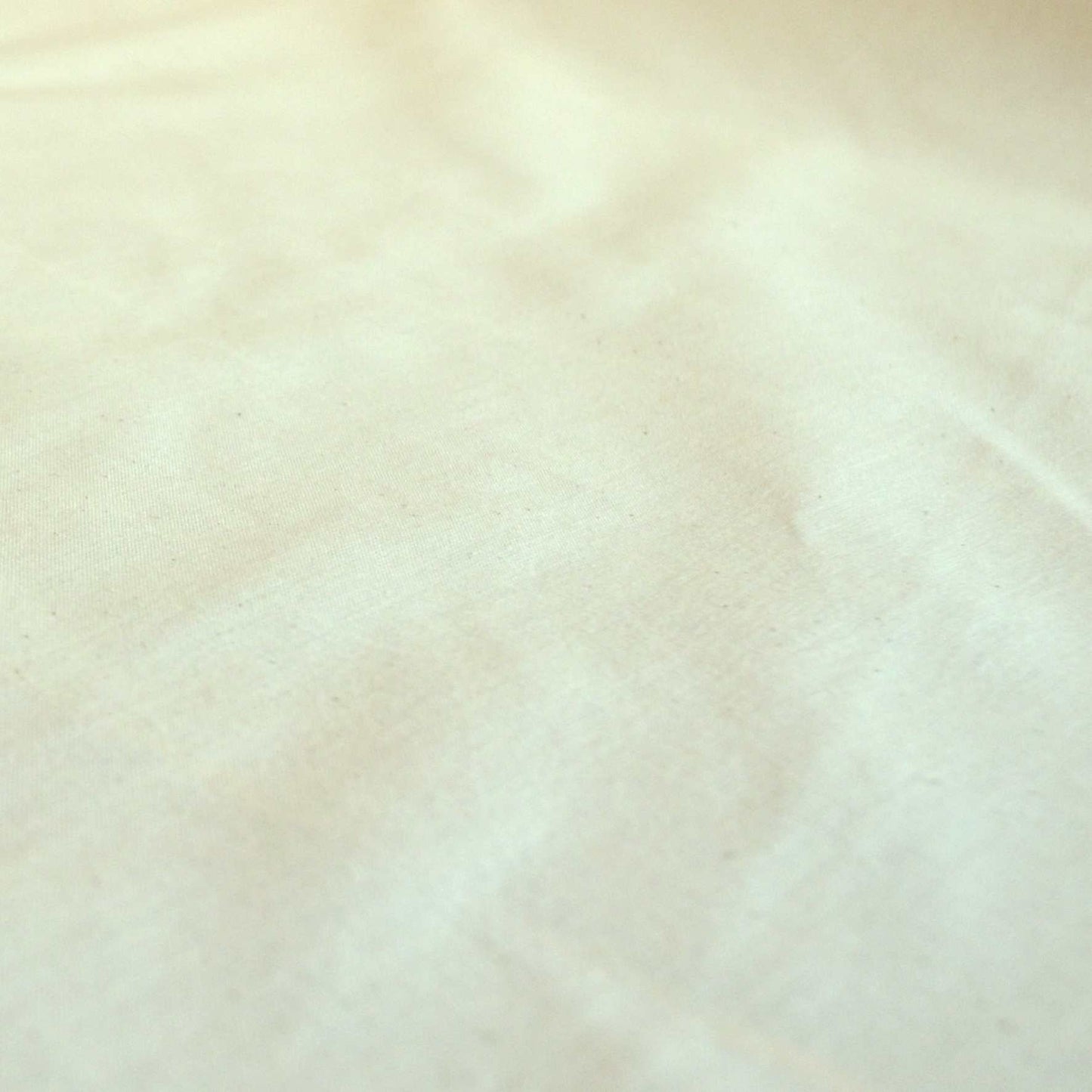 Medium weight calico to buy online