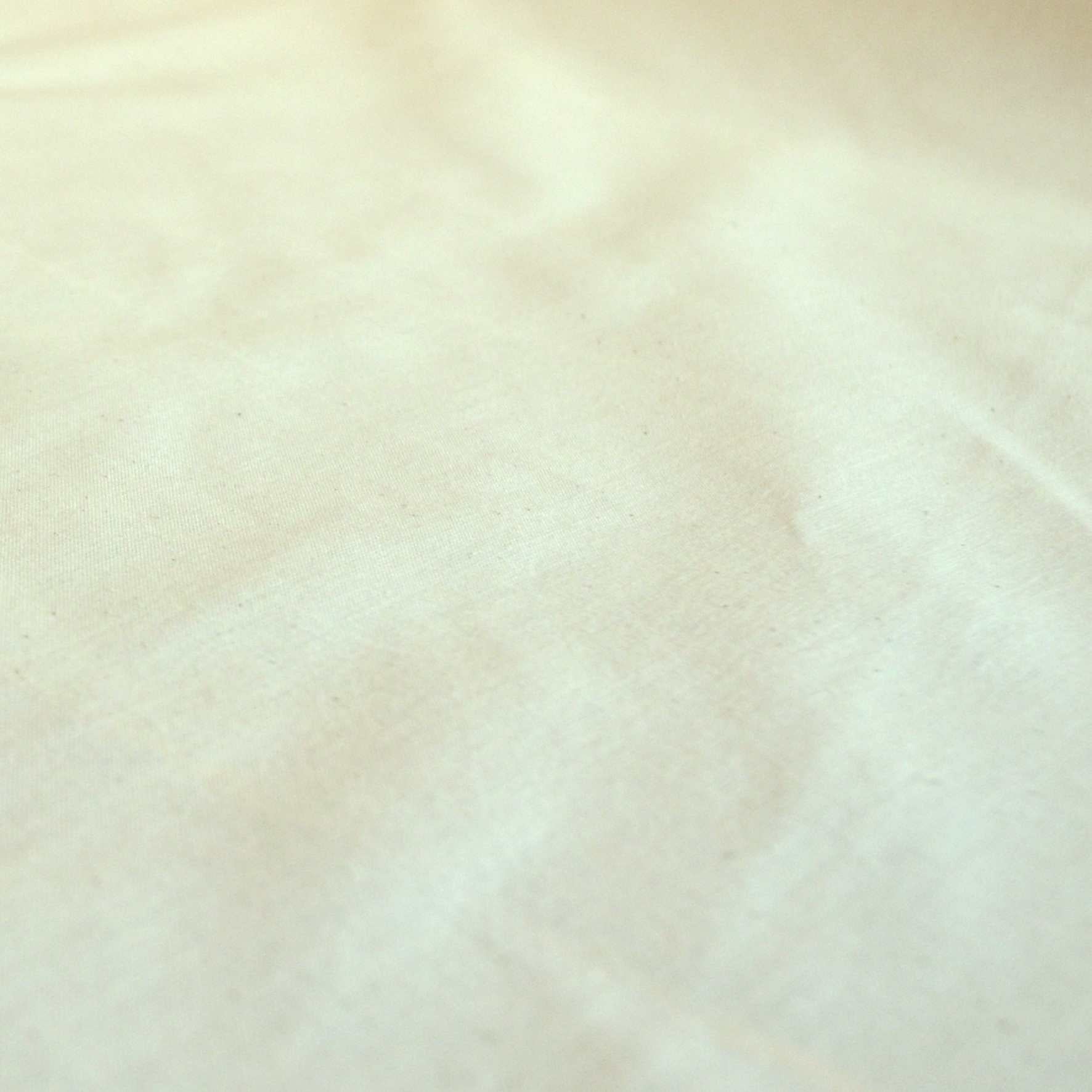Medium weight calico to buy online