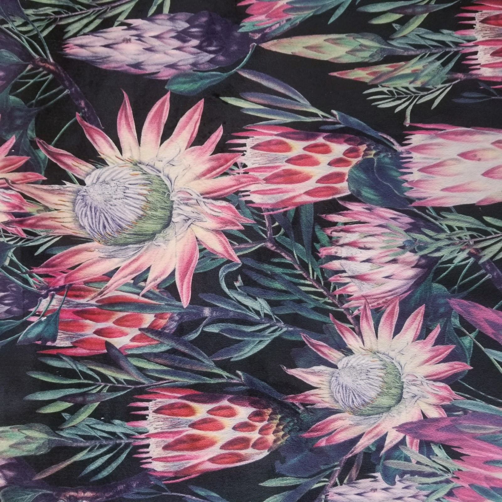 Printed Velvet with a large pink Protea flower pattern on a black background